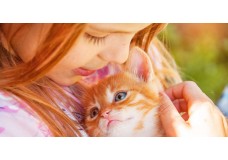  How Animals Can Help Children With Disabilities