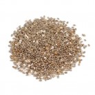 Seeds Black Chia Seeds (1 Pack)