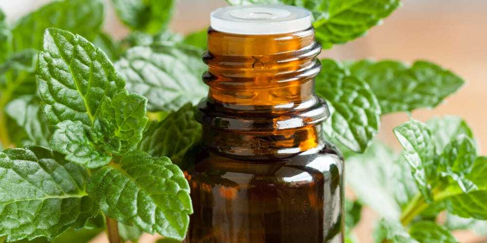How Peppermint Oil May Help Nausea, IBS, Itching, and More